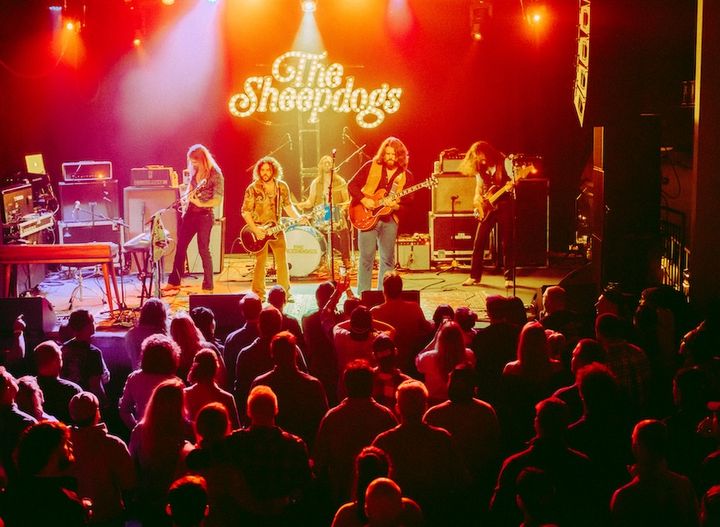 The Sheepdogs